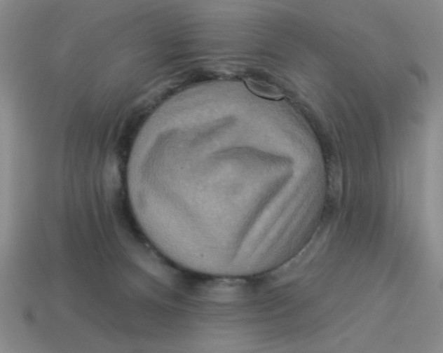 X0000113340128200910131227