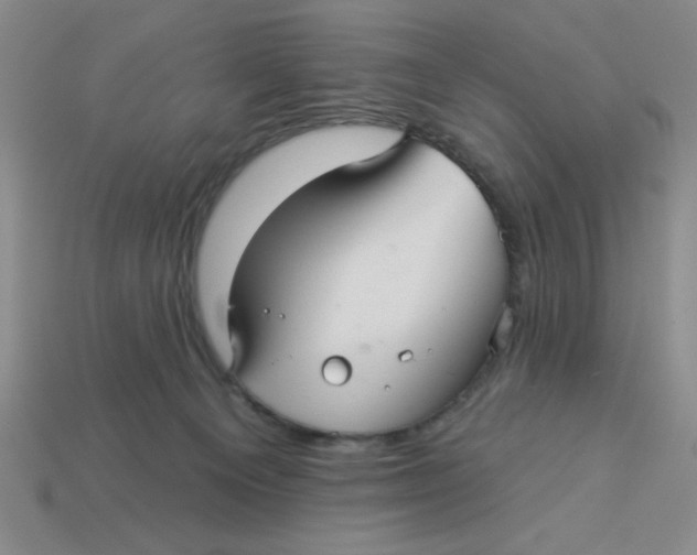 X0000113340129200910131227