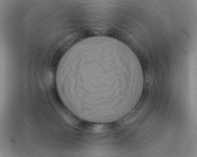 X0000113340130200910131227