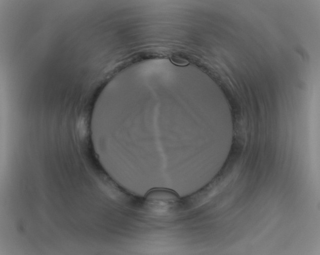 X0000113340131200910131227