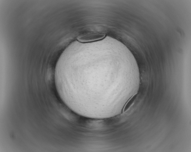 X0000113340132200910131226