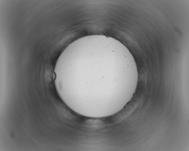 X0000113340133200910131226