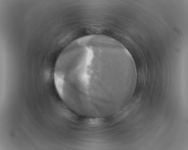 X0000113340134200910131226