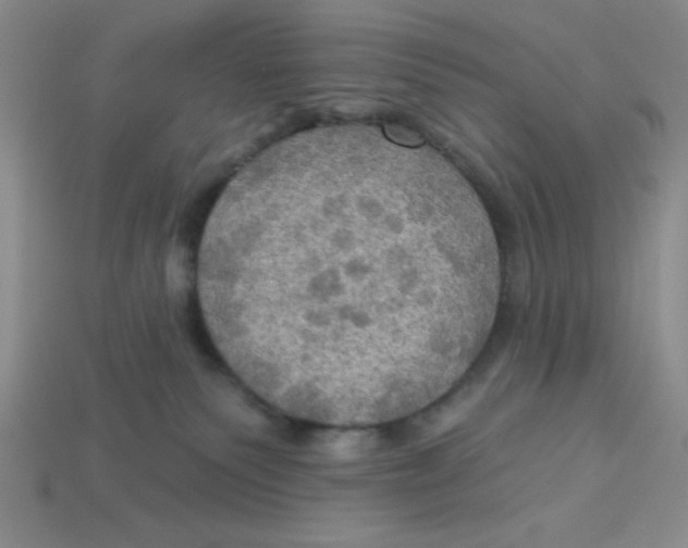 X0000113340135200910131226