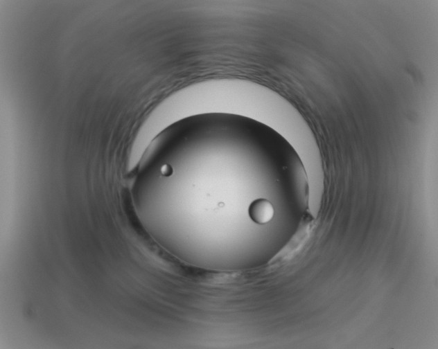 X0000113340136200910131226