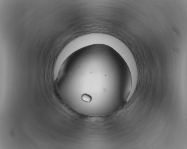 X0000113340137200910131226