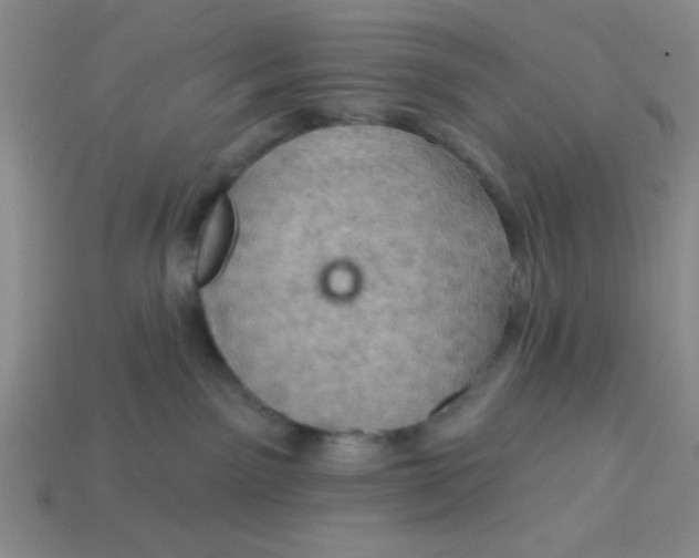 X0000113340141200910131226