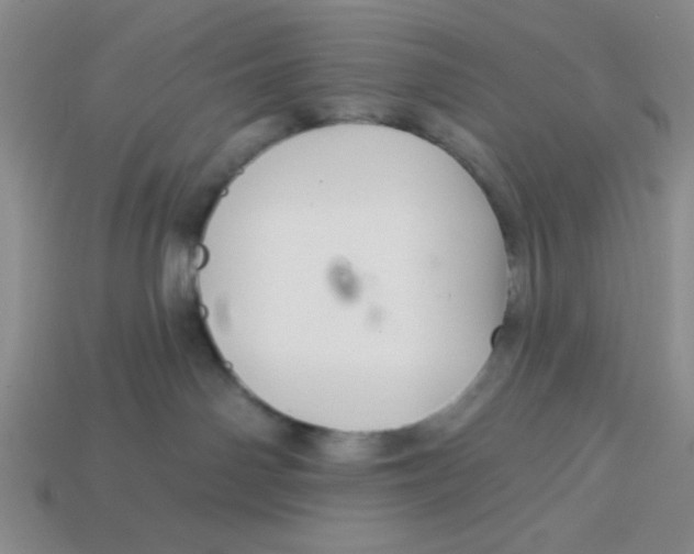 X0000113340142200910131226