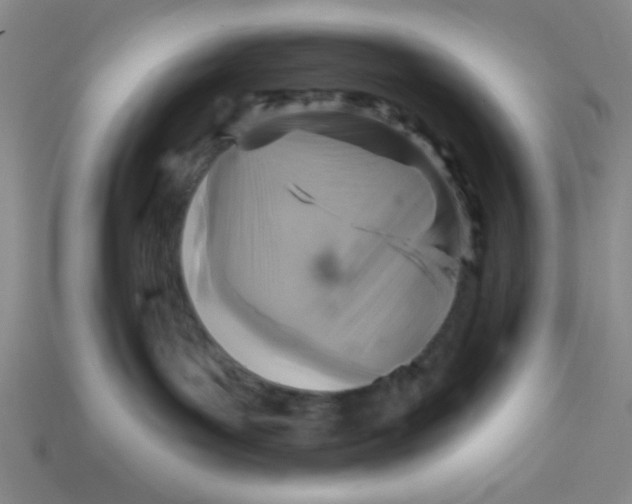 X0000113340143200910131226