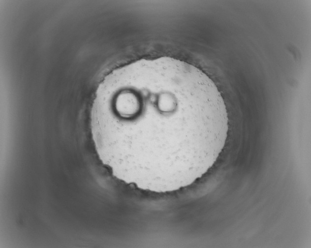 X0000113340144200910131226