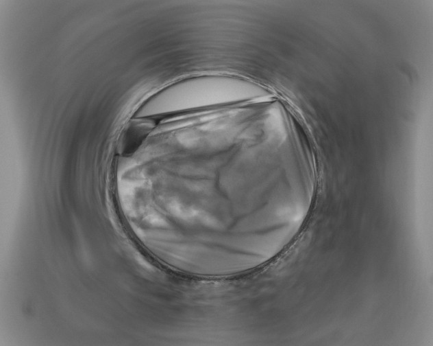 X0000113340145200910131226