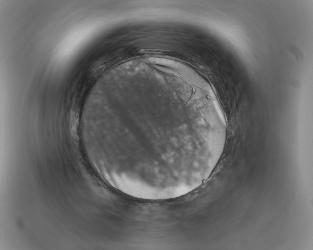 X0000113340146200910131226