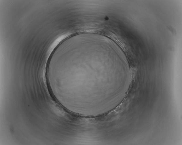 X0000113340147200910131226