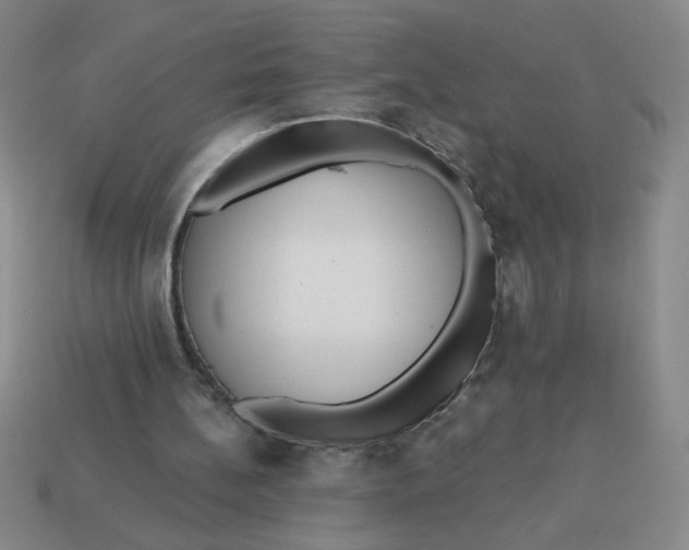 X0000113340148200910131226
