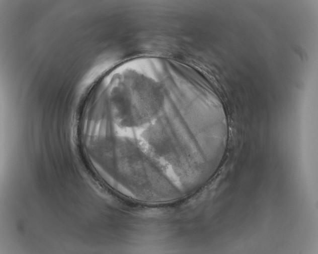 X0000113340149200910131226
