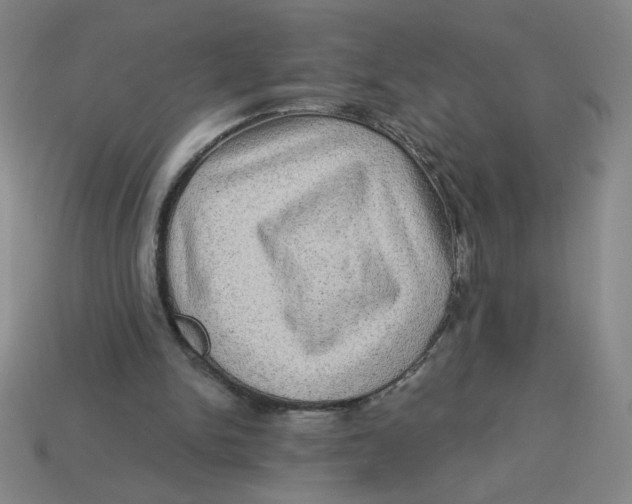 X0000113340150200910131226