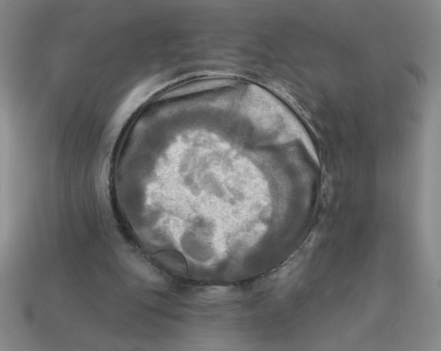 X0000113340151200910131226