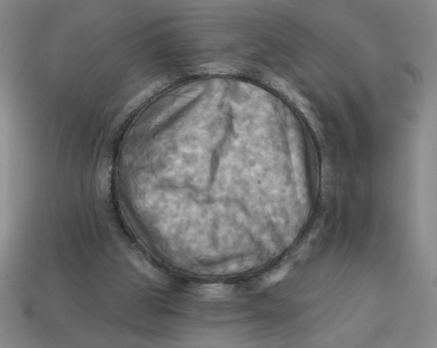 X0000113340153200910131226