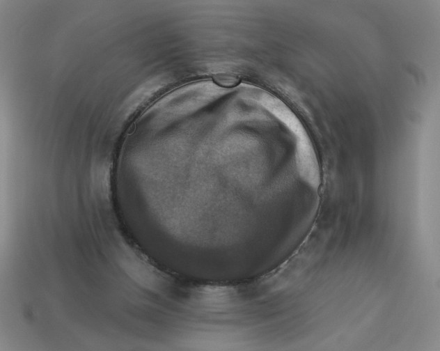 X0000113340154200910131226