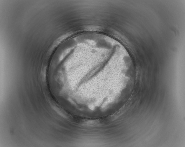X0000113340155200910131226