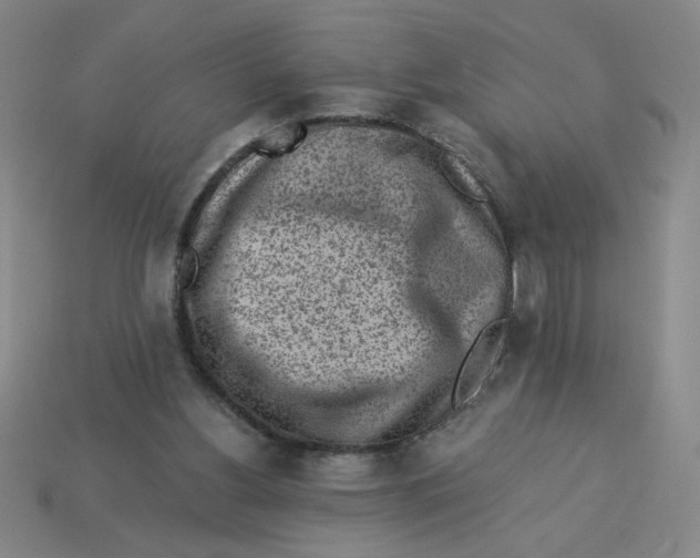X0000113340156200910131226