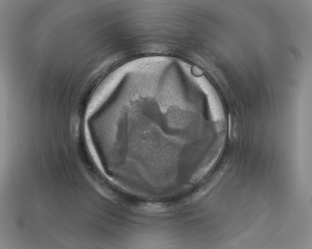 X0000113340157200910131226