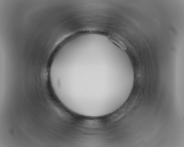 X0000113340160200910131226