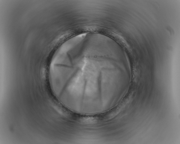 X0000113340161200910131226