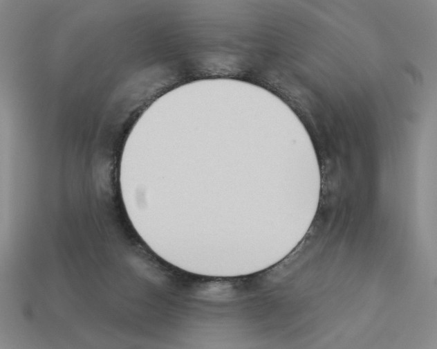X0000113340162200910131226