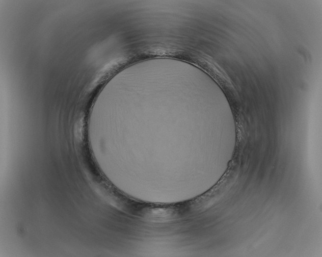 X0000113340163200910131226