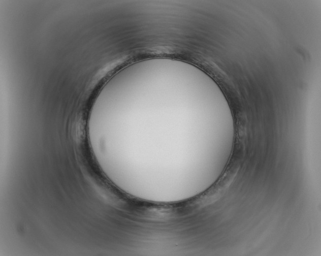 X0000113340164200910131226