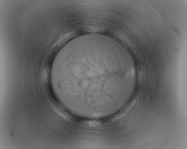 X0000113340165200910131226