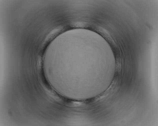 X0000113340167200910131226