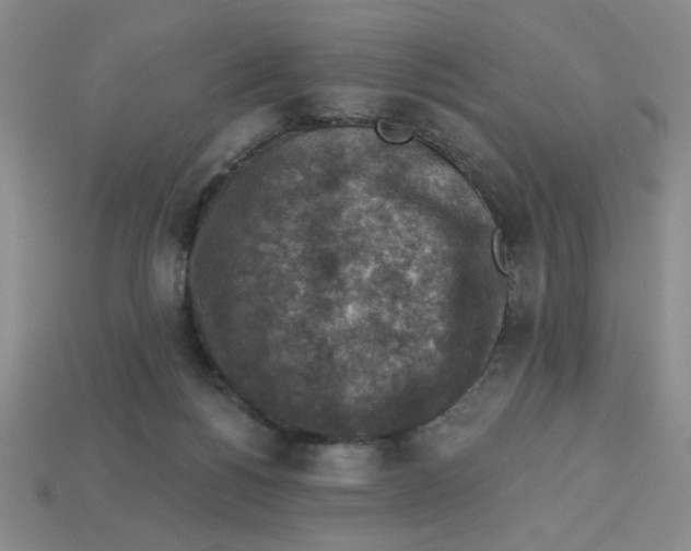 X0000113340168200910131226