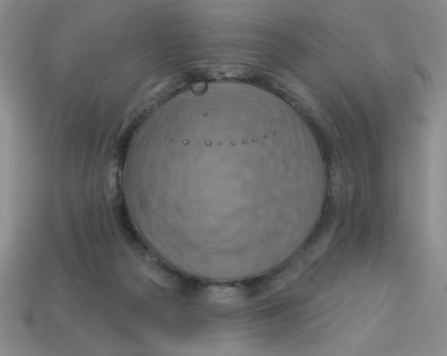 X0000113340169200910131226
