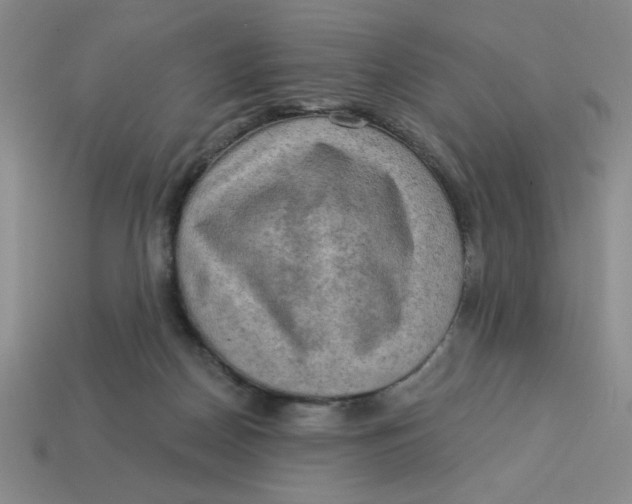 X0000113340170200910131226