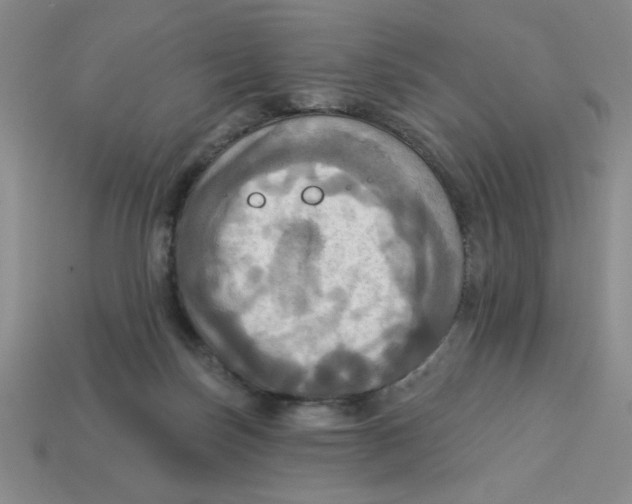 X0000113340171200910131226