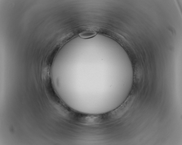 X0000113340172200910131226