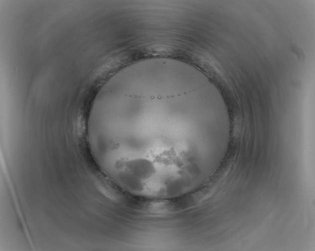 X0000113340173200910131226