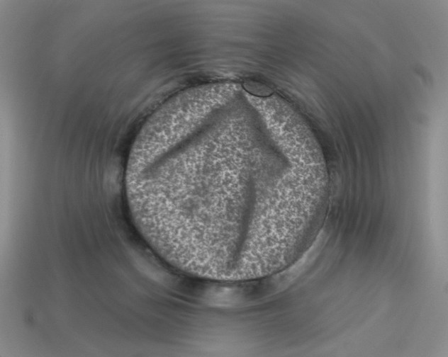 X0000113340174200910131226