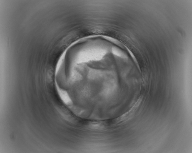 X0000113340175200910131226