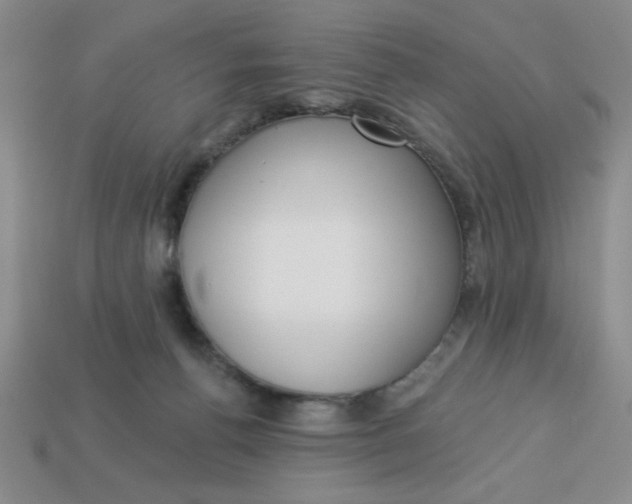 X0000113340176200910131226