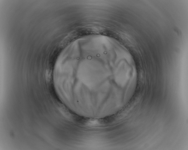 X0000113340177200910131226