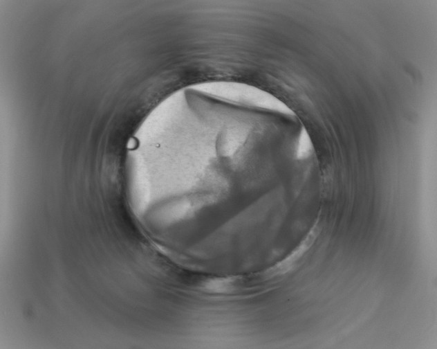 X0000113340178200910131226