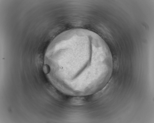 X0000113340179200910131226