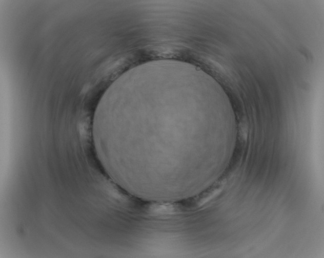 X0000113340181200910131226