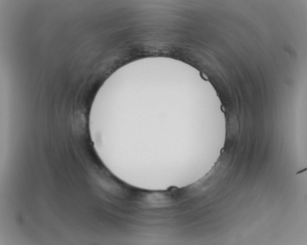 X0000113340183200910131226