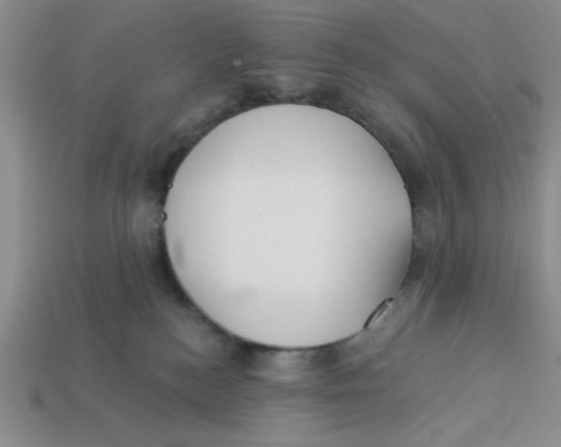 X0000113340184200910131226