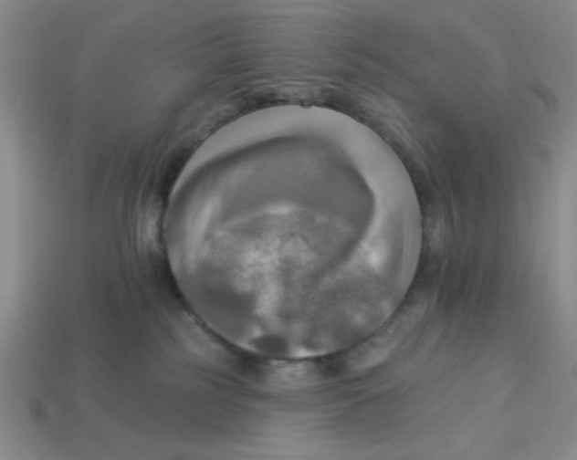 X0000113340185200910131226