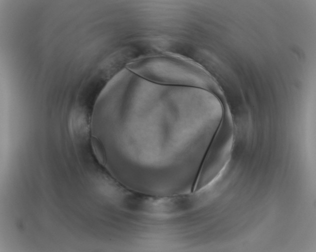 X0000113340186200910131226